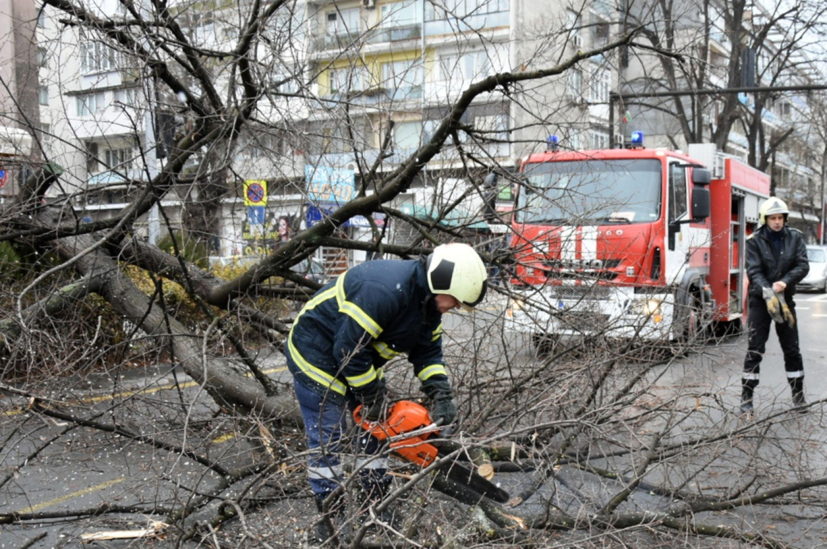 Десетки сигнали за поражения от силния вятър са подадени в Община Варна
