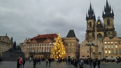Само елха има на централния площад в Прага, едно от най-посещаваните места в града. Тази година коледни базари няма. Снимка Радостина Михайлова