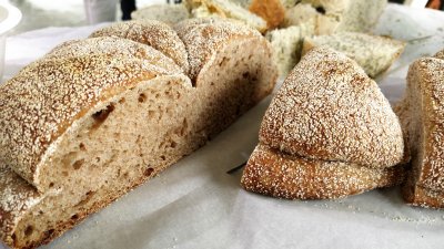 Посетителите имаха възможност да опитат и квасен хляб с ръжено брашно, замесен в пекарна Зорница. Снимки Петя Добрева