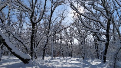Валежите от сняг ще са предимно в Западна България. Снимка Архив Черноморие-бг