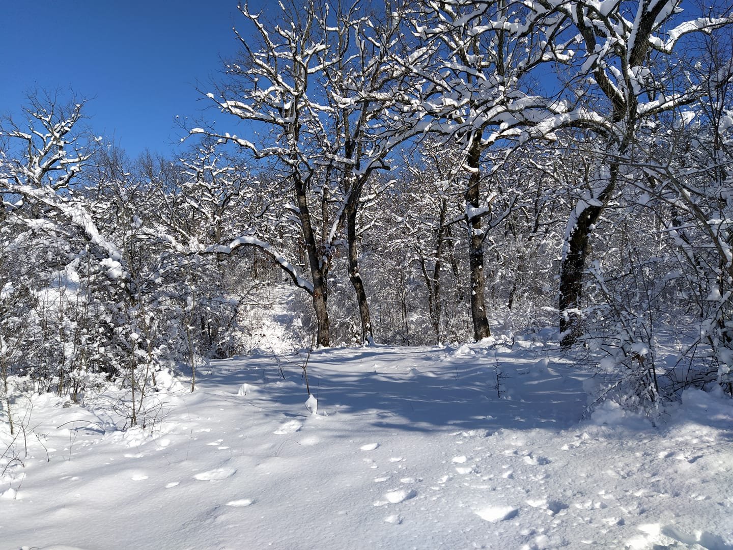 Януари е най-студеният и снежен месец през годината. Снимка Десислава Георгиева