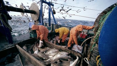 Минималната глоба при извършване на незаконен риболов е 100 лева. Снимка Архив