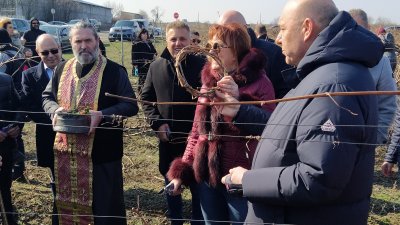 Кметът на Поморие Иван Алексиев направи корона от отрязаните лозови клонки и ги подари на областния управител Мария Нейкова. Снимки Авторът