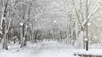 Жълт код за превалявания от сняг е обявен от НИМХ в няколко области на страната
