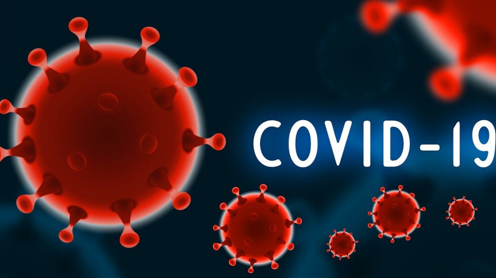 Потвърдените в България случаи на новия коронавирус са общо 701 469. От тях 102 459 са активни. Снимката е илюстративна