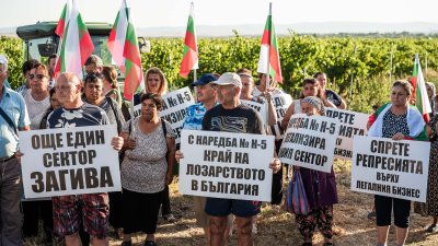 Лозаро-винарите в Поморие излязоха на протест срещу Наредба 5