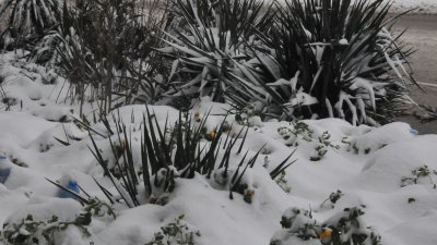 Снежната покривка създава проблеми и в електрозахранването