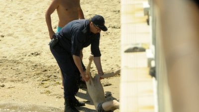 Морето изхвърли тялото на 13-годишното момче, докато водолази търсиха 17 -годишния младеж. Снимки Черноморие-бг 