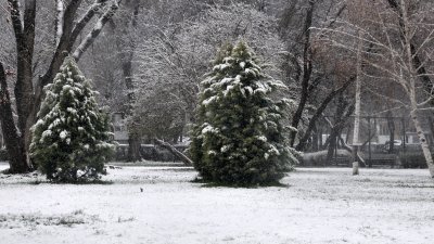 Зимата продължава да властта, въпреки че пролетта дойде. Снимка Черноморие-БГ