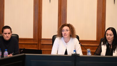 Министърът на труда и социалната политика Иванка Шалапатова (в средата) ръководеше първото заседание на групата. Снимки МТСП