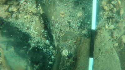Подводните проучвания продължават втора година и са в акваторията на Бургаския залив. Снимки РИМ - Бургас