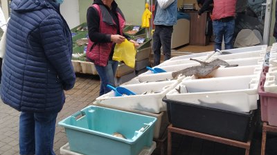 Сафридът е най-продаваната риба на пазара в Бургас