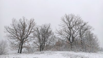 В истинска зимна приказка се превърна Странджа планина. Снегът преобрази планината за няколко часа. Обичащите зимата бургазлии могат да му се насладят още като излязат от града и поемат по пътя за Малко Търново или за Средец. Снимки Петя Добрева