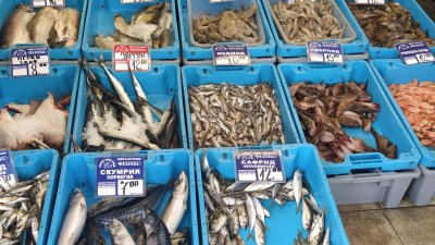 Търсенето на риба и морски дарове се увеличава през летния сезон. Снимки Петя Добрева