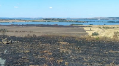 В средата на месеца изхоряха треви в района над Конната база, разположена след Меден рудник в посока Твърдица. Снимка Петя Добрева