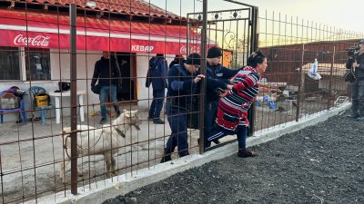 Една жена е задържана в Победа за притежание на друсан чай. Снимки ОД на МВР