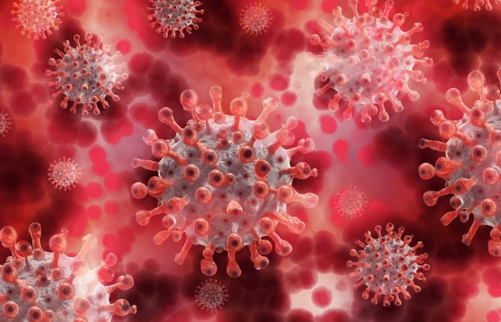 Малко над 2000 теста за корона вирус са направени през изминалото денонощие. Снимката е илюстративна