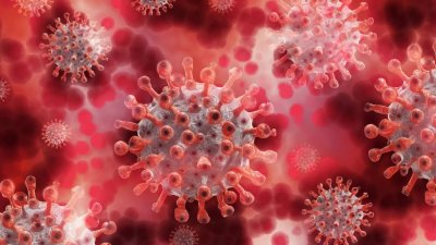 Новите случаи на корона вирус са отново под 1%. Снимката е илюстративна