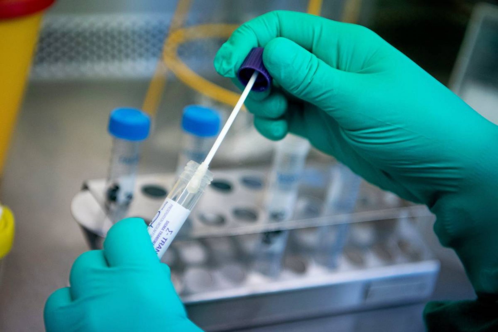 От направените тестове 345 PCR, а 1 668 са бързите антигенни тестове. Снимката е илюстративна