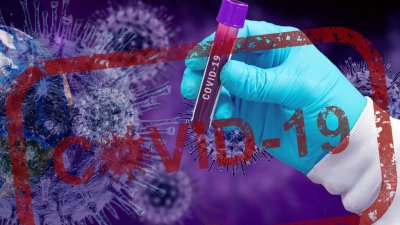 Потвърдените в България случаи на новия коронавирус са общо 440 911. Снимката е илюстративна