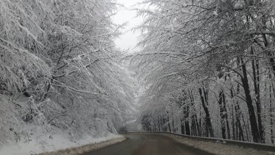 Снежната покривка ще достигне около 10 сантиметра в областите Ловеч, Плевен, Велико Търново, Габрово, Разград и Търговище