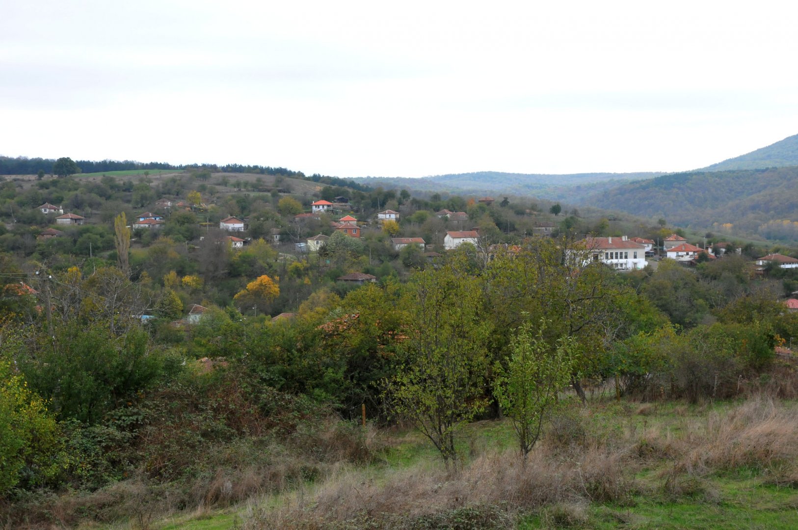 Богданово е едно от живописните села в община Средец, известно и с най-популярната си жителка - Янка Рупкина. Снимки Черноморие-бг