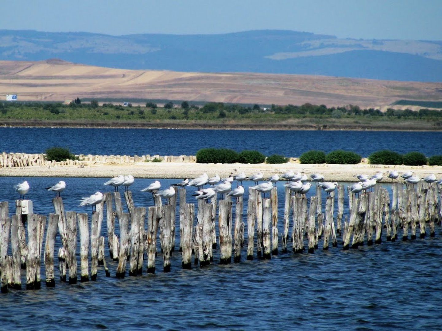 Терените, държавна собственост, които са част от Поморийското езеро са предоставени за безвъзмездно управление на Община Поморие през 2012 година