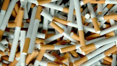 Открити са 30 мастербокса с цигари без бандерол