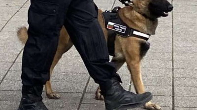 Обиколките на униформените с кучетата започват от 13-ти февруари. Снимки ОД на МВР