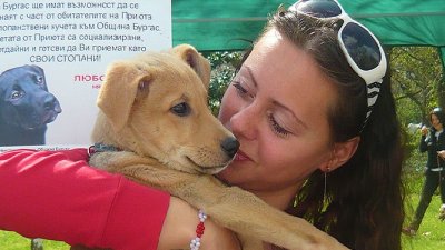 В Бургас от години не съществува проблем с безстопанствените кучета