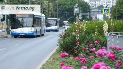 Автобусите и тролейбусите ще се движат до 02.00 часа на 1-ви януари. Снимка Община Варна
