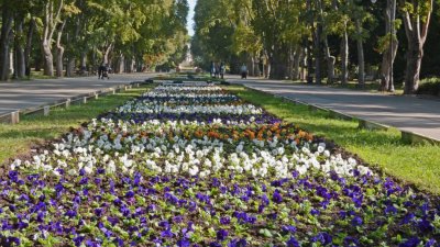 Морската градина на Варна ще смени летния си с есенен облик. Снимки Община Варна